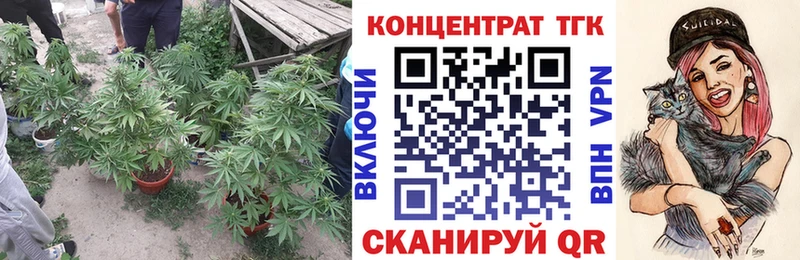 цены наркотик  OMG вход  ТГК гашишное масло  Княгинино 
